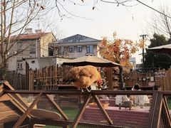 -HERRE·FARM 赫尔露营农场·团建聚会包场