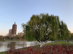 -西海子公园