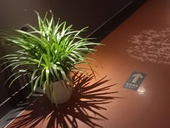 -金狮麟·新豫菜(杏石口路店)