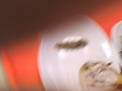 -香妃烤鸡(新奥店)