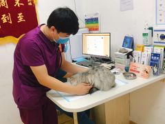 -创凡宠物医院·骨专科  猫科中心(西乡分院)
