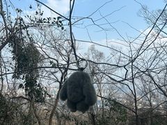 -大蜀山国家森林公园