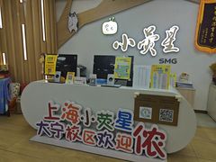 -小荧星艺校(大宁分校)