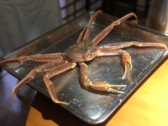 -綱元·海鲜豆捞(明州里店)