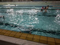 -重庆市奥林匹克体育中心-游泳跳水馆