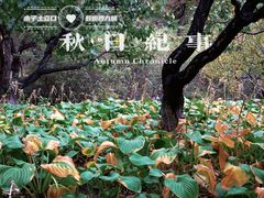 -元大都城垣遗址公园