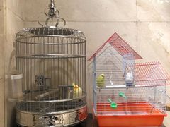 -杭州香格里拉饭店