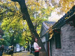 -VOYAGE COFFEE(北锣鼓巷店)