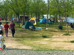 -天津东丽湖风景区