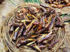 -昆虫窝子·特色云南菜(拓东路总店)