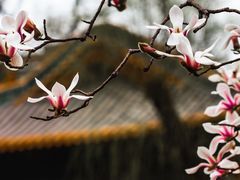 -碑林公园