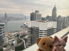 -香港港丽酒店