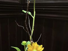 -31号公馆(黄兴广场白果园店)
