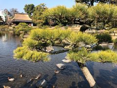 -水前寺成趣园