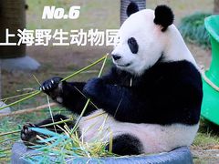-外滩