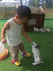 -萌宠亲子动物乐园(槐房万达店)