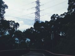 -金鸡山公园