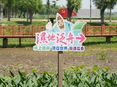 -洪湖生态旅游区