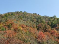 -武汉姚家山旅游景区