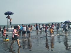 -台山黑沙湾海浴场