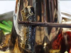 黄鳝-小板凳(四公里店)