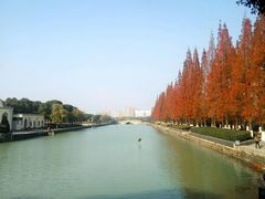 -芝心实億披萨意面(芳草路店)