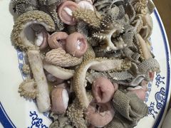 -老爆肚满五香烧牛羊肉