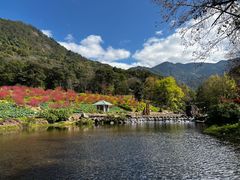 -广州市石门国家森林公园