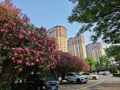 -南阳建业森林半岛假日酒店