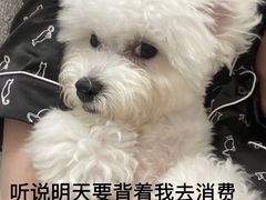 -海底捞火锅(松雷店)