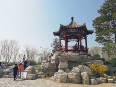 -大兴滨河森林公园