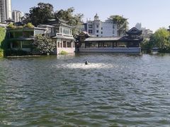 -荔湾湖公园