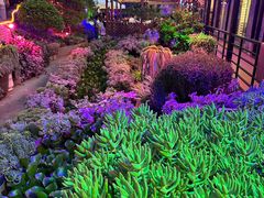 -山菌美食苑(振兴路店)