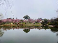 -无锡梅园公园
