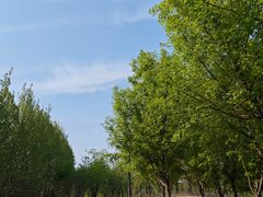 -马家湾湿地公园