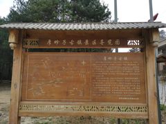 -黑河国家森林公园