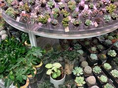 -KKV(深圳kk one 店)