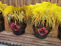 -闯关东东北农家菜(崂山石老人店)