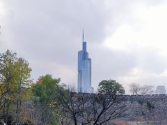 -紫峰大厦