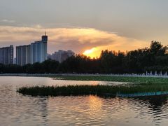 -莲花池公园