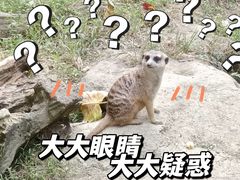-成都动物园