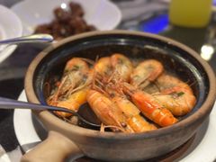 -新白鹿餐厅(百联中环店)