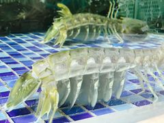 顶级大虾菇-欧记·龙城港(欣都店)
