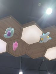 -心联形象设计·流星染