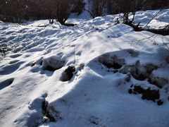 -太子岭滑雪场