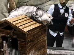 -顺德南宏海立方海洋公园