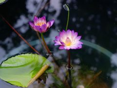 -龙华寺