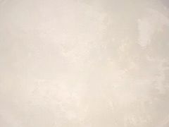 -澳洲牛奶公司(佐敦店)