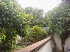 -广州神农草堂中医药博物馆