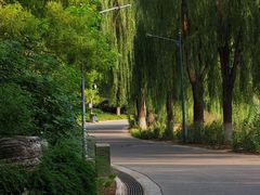 -河北省园博园